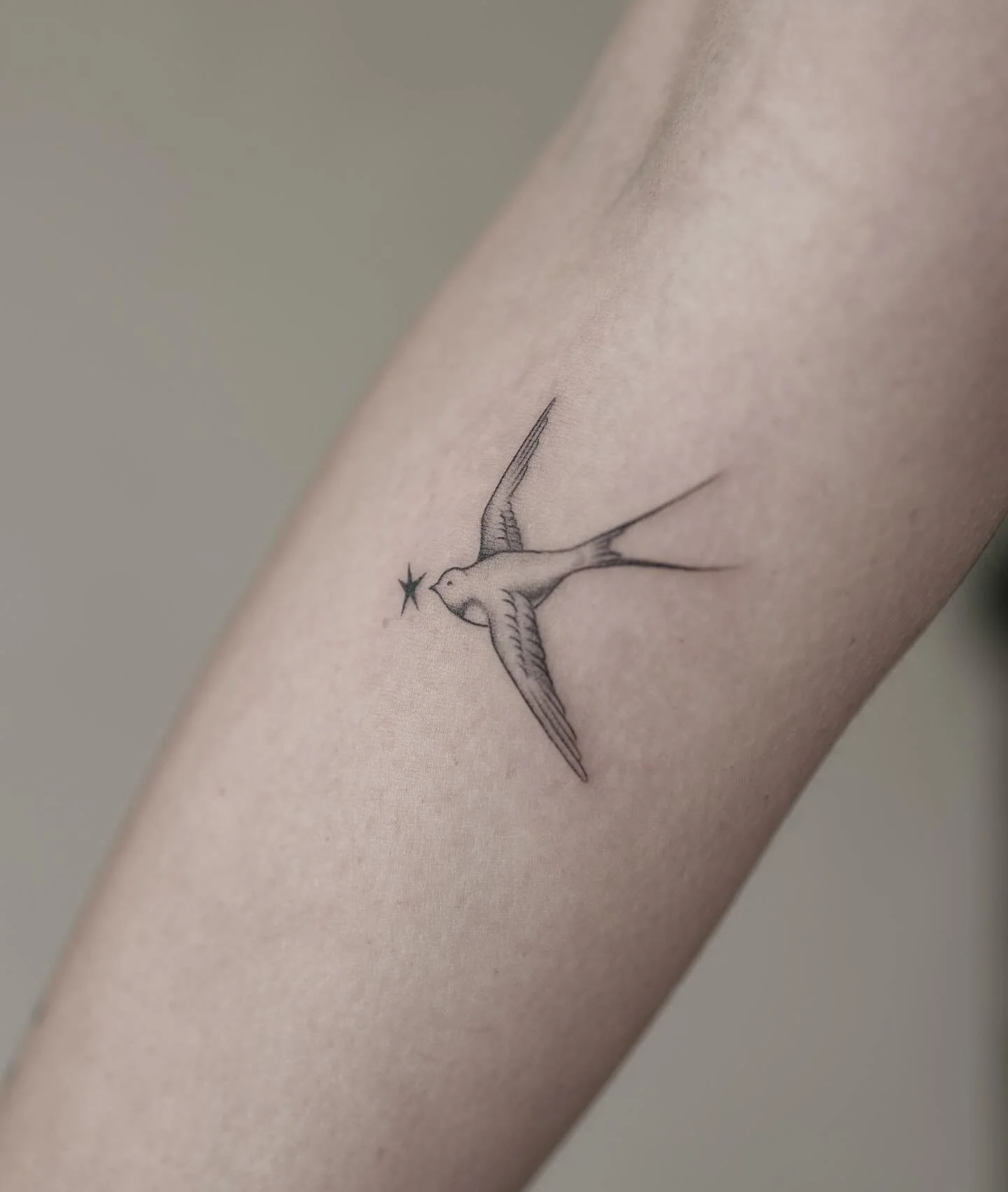 Fine line little bird done by @dawyeed_tattoo ✨
.
.
#kríatattoo #walkintattoo #finelinetattooing #finelinetattooartist #finelinetattooart #birdtattoo #kriatattoostudio