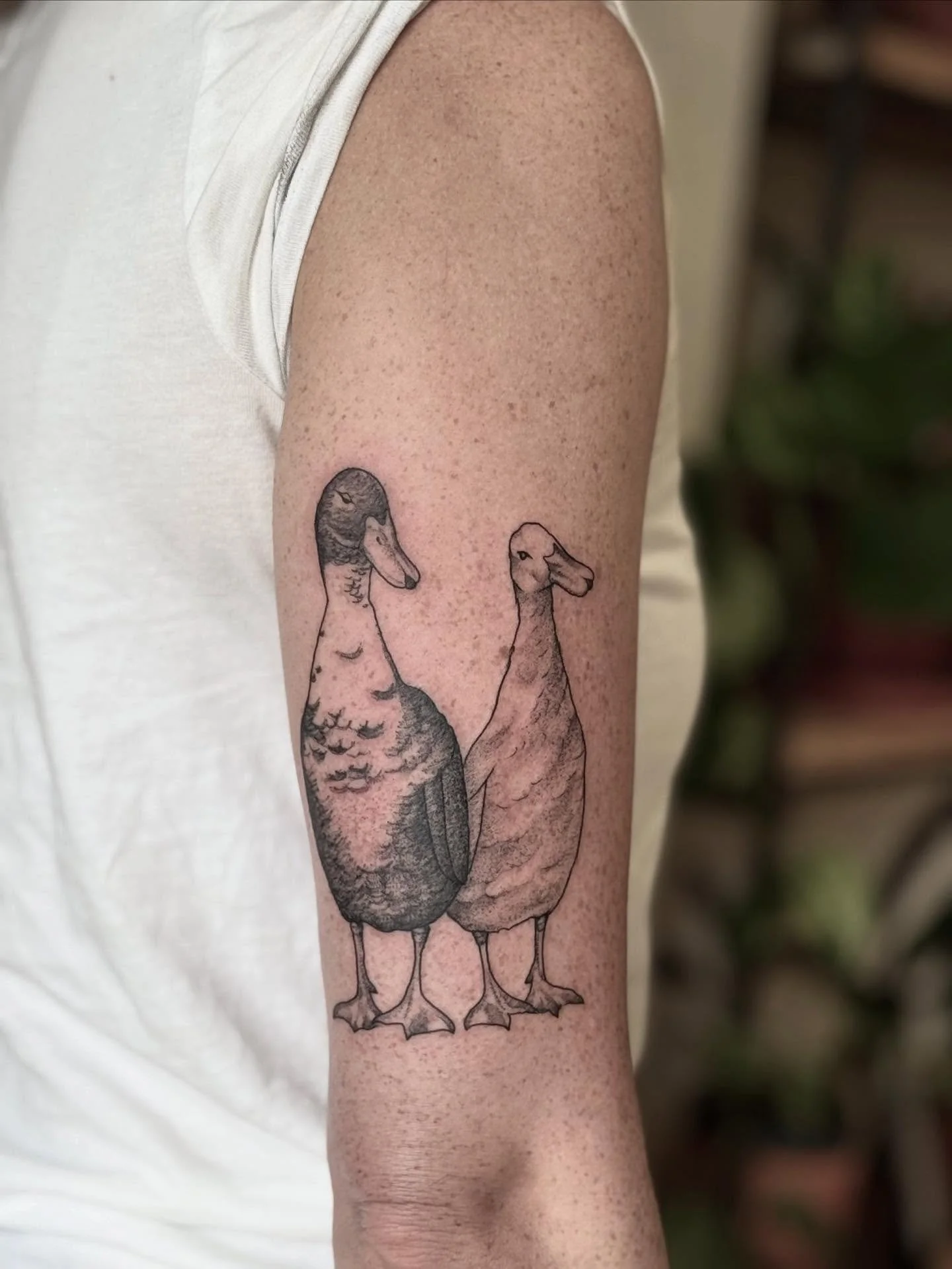 How cute are these ducks?? 😍🦆Done by @caionarditattoo 
.
.
#kriaporto #kríatattoo #portotattoo #walkintattoo #walkintattoos #walkintattoostudio #portotattoostudio #ducktattoos