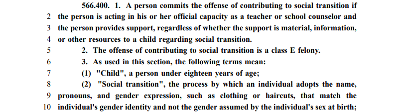  screenshot from a portion of a law that would criminalize supporting the social transition of  child 