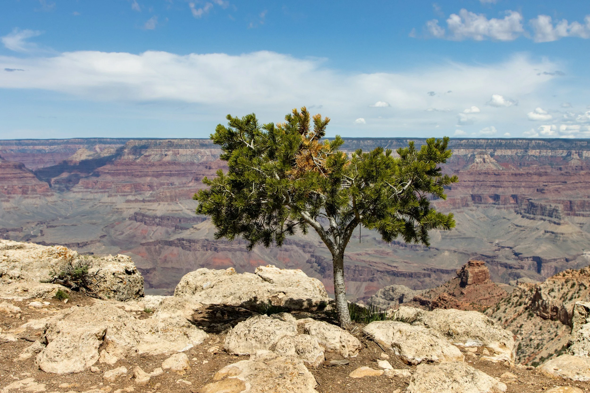 What Can You Do to Be More Resilient?