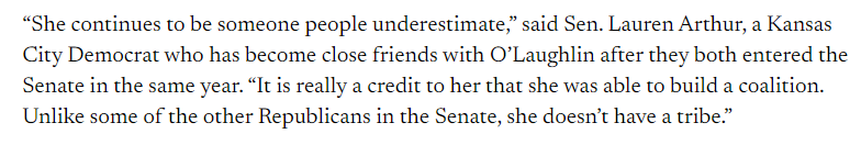  (screenshot from the Missouri Independent) 