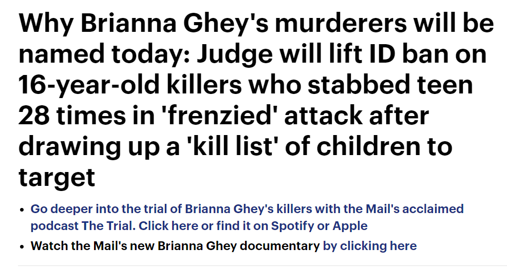  screenshot from the Daily Mail 