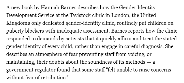  screenshot from New York Magazine 