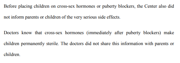  screenshot from Jamie Reed’s affadavit 