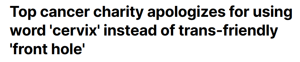  screenshot from the Daily Mail 