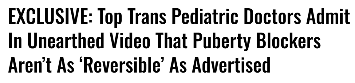  screenshot from the Daily Caller 