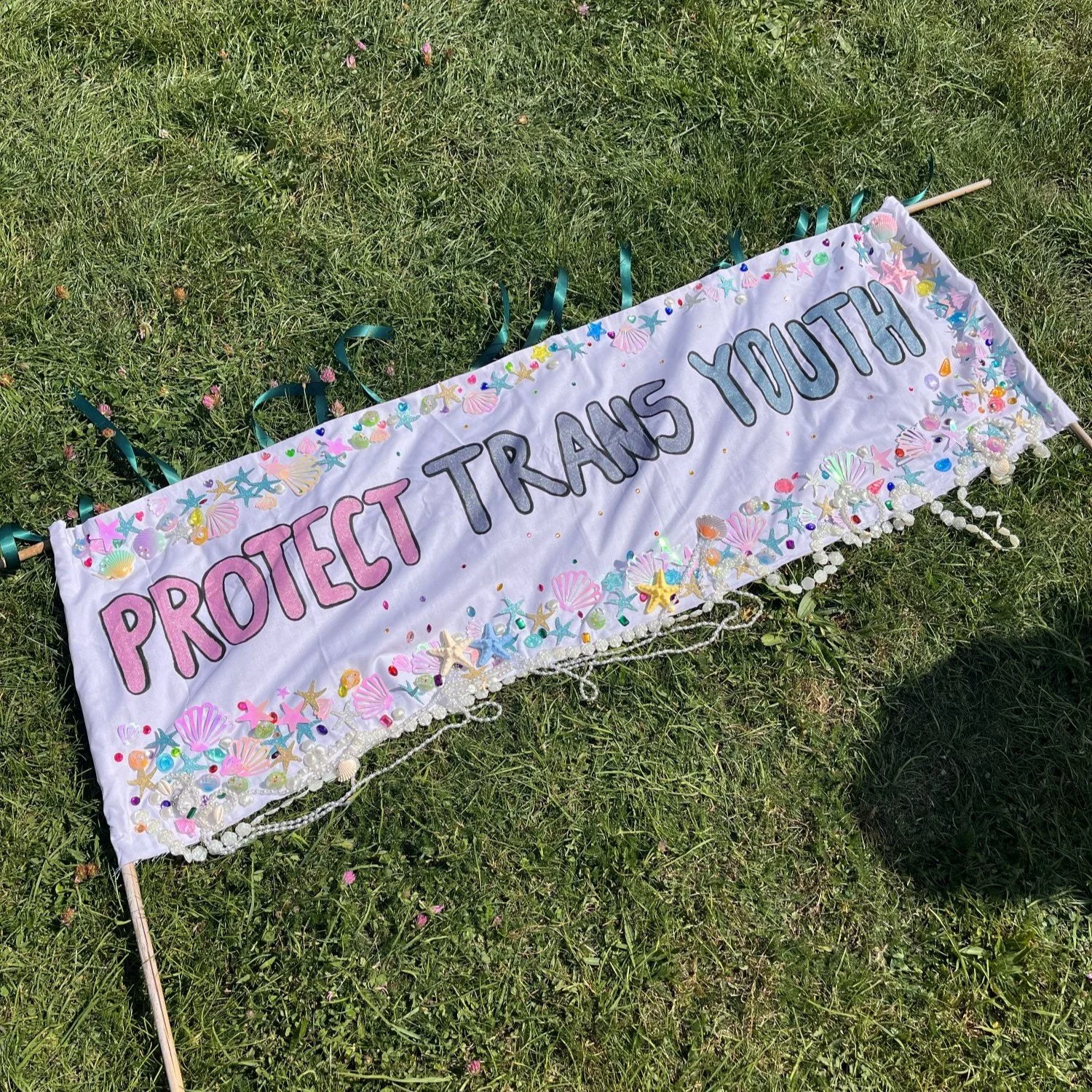 Banner Protect Trans Youth compressed square.jpg