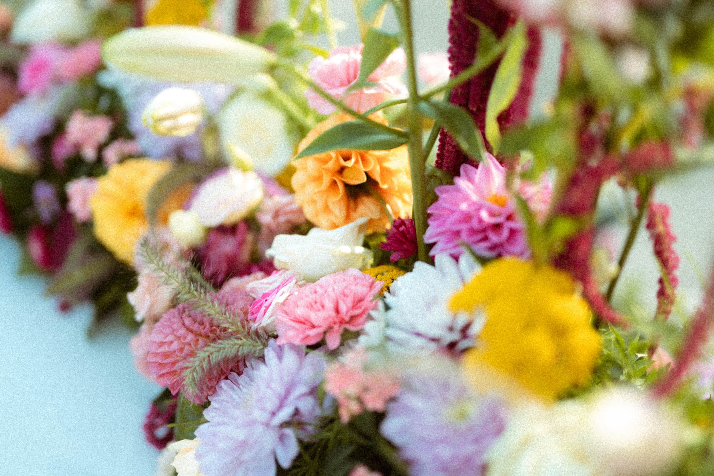 sigy_kops_photography_preset-14.jpg