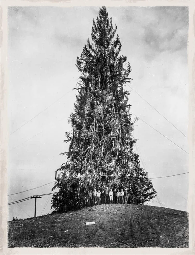 Christmas Tree Point (Twin Peaks Viewing Point + Photos) — Our Field Notes