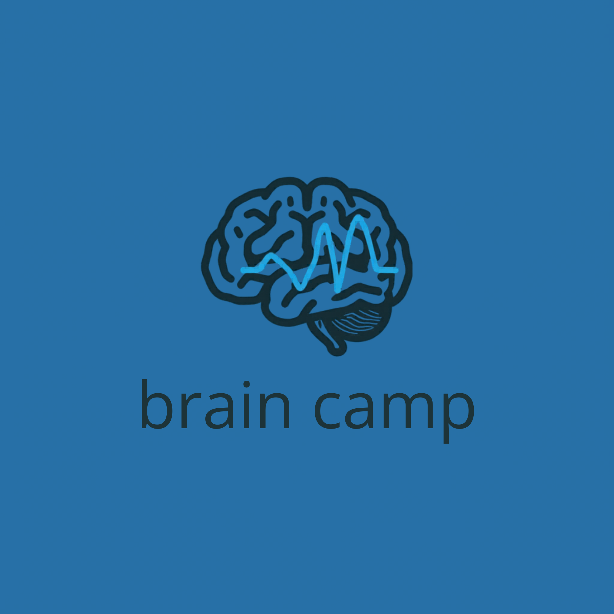 Brain Camp