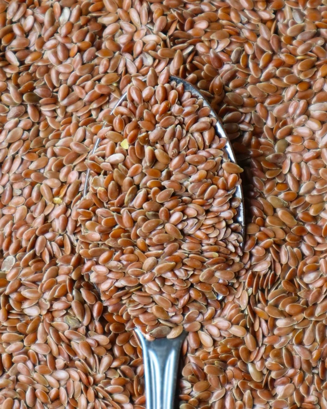 Flax seeds.
One of five seeds. 

#simpleingredients #betterforyou #perfectsnack #cleaningredients