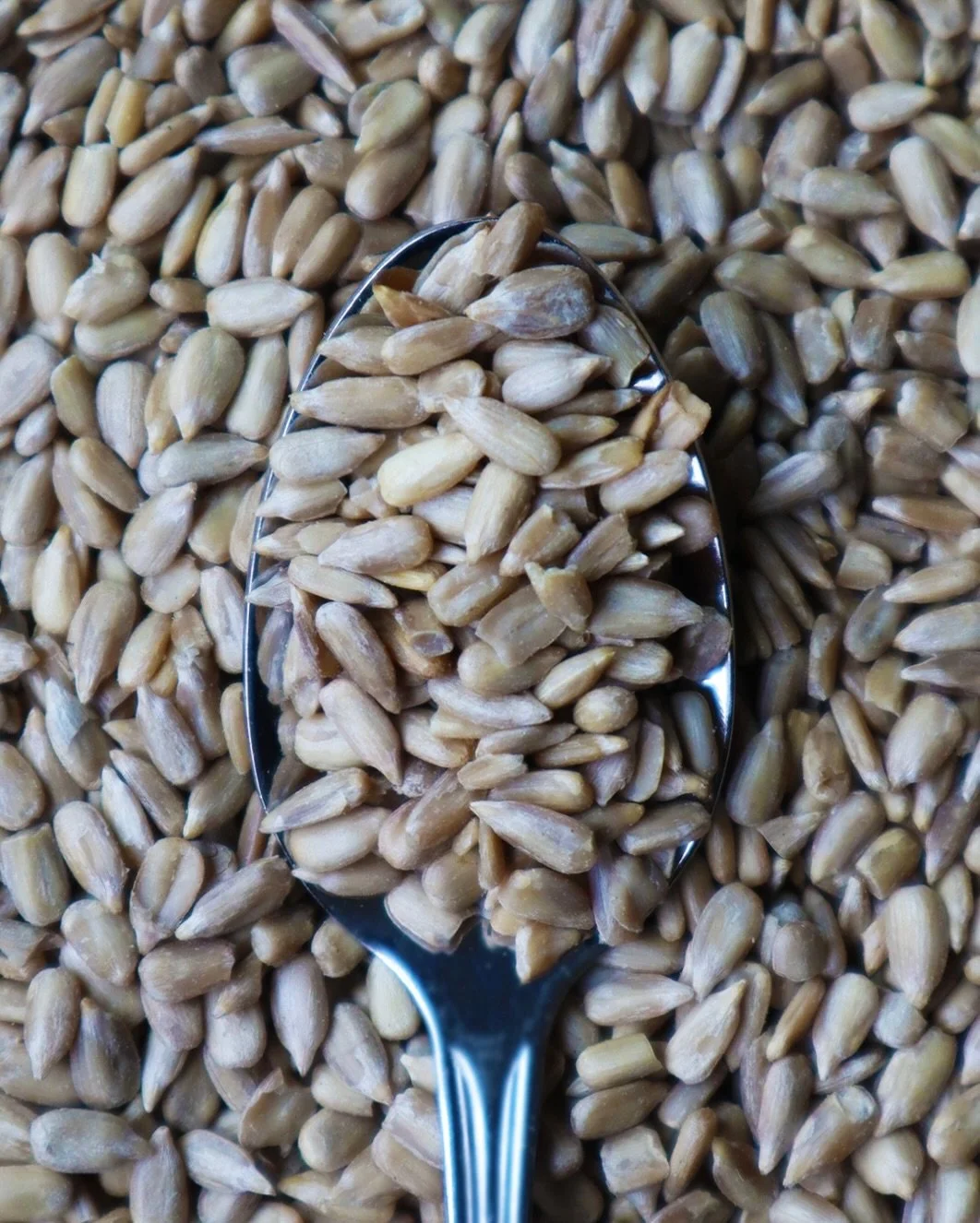 Sunflower seeds. One of five seeds. 

#simpleingredients #betterforyou #perfectsnack #cleaningredients