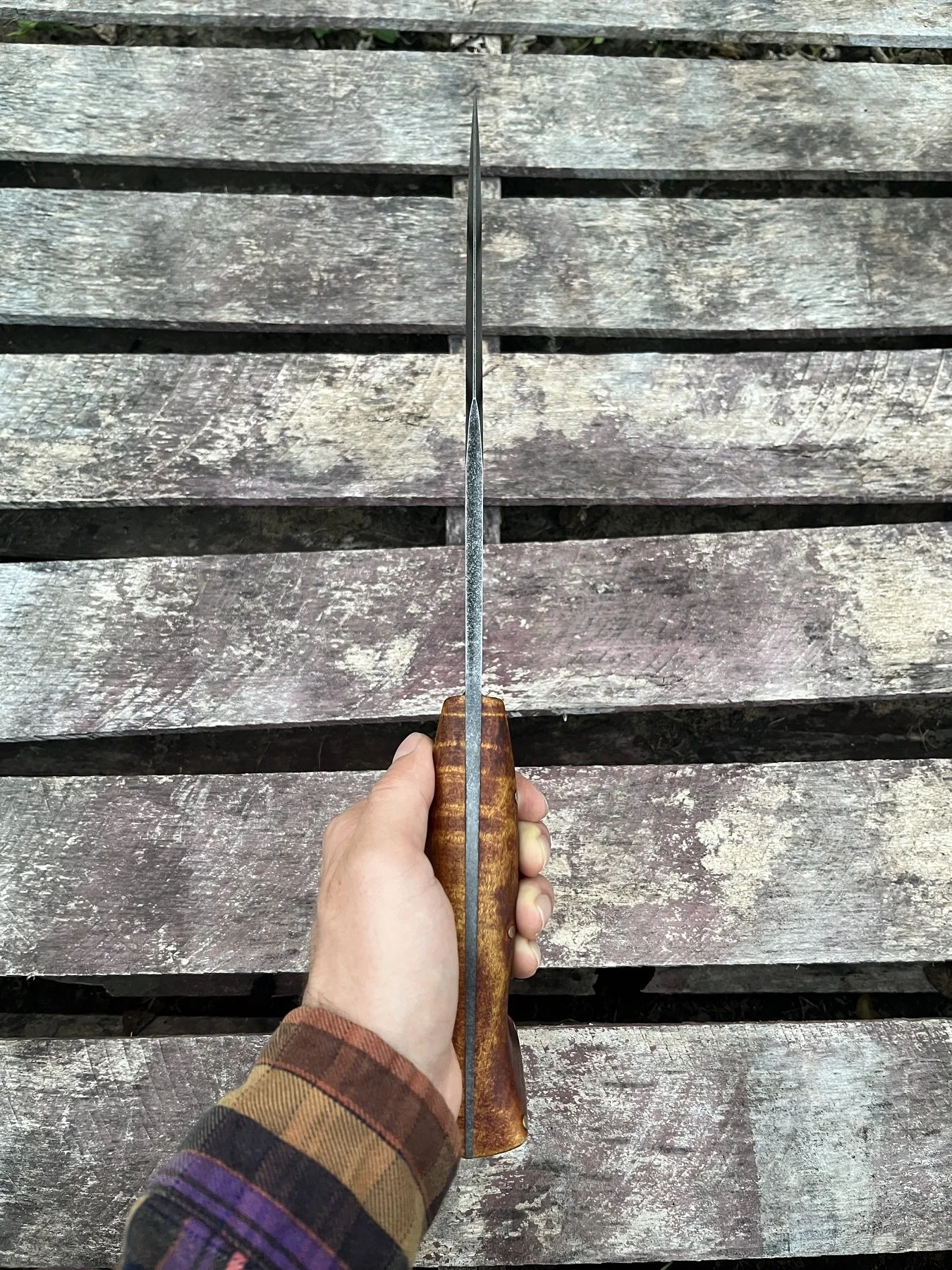 IMG_7064.JPG