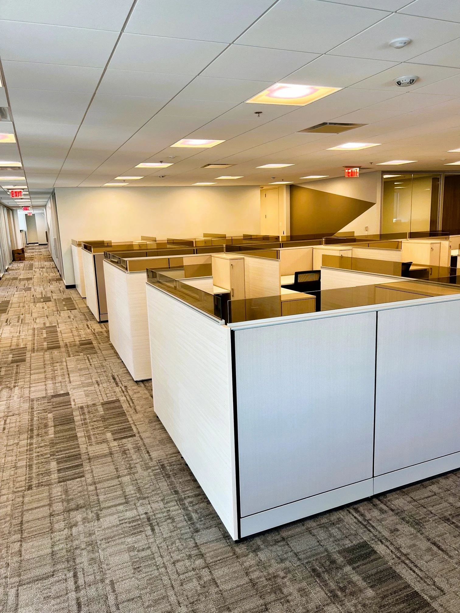 Empty office cubicles in a vacant workspace with beige partitions, carpeted flooring, and a ceiling with evenly spaced lights.