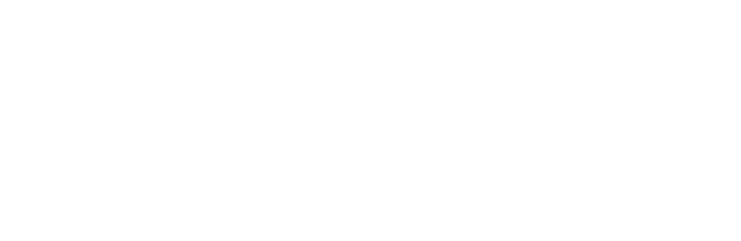 SheCan Consulting