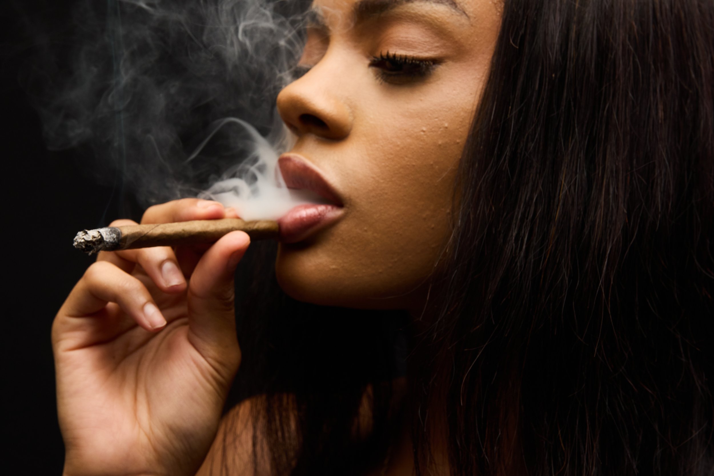 Dutch Masters X SIX6466.jpg