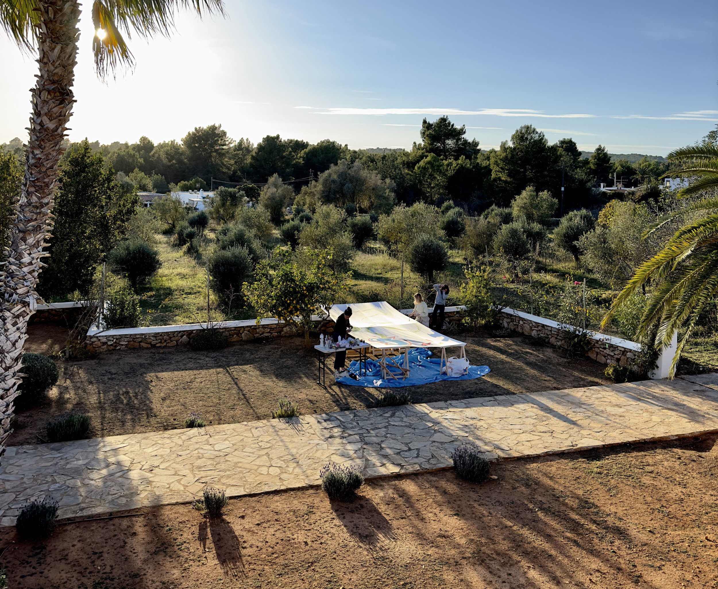 Las Cicadas I Art Residency