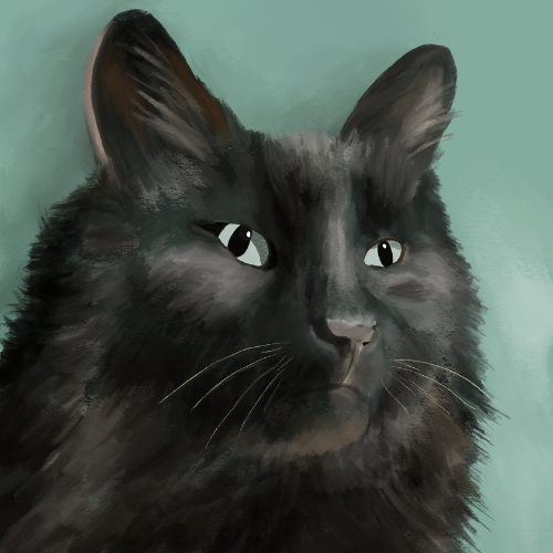 Custom cat portrait black cat