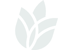 GEI Conference — A Greener Future