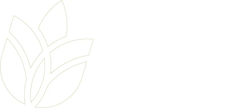 GEI Info & Accessibility — A Greener Future