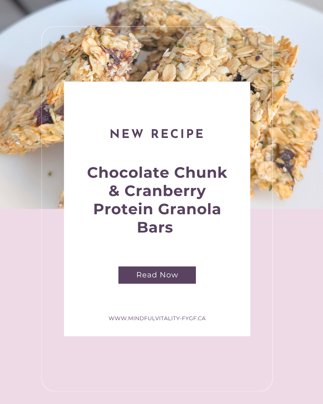 DARK chocolate chunk cranberry protein graonla bars