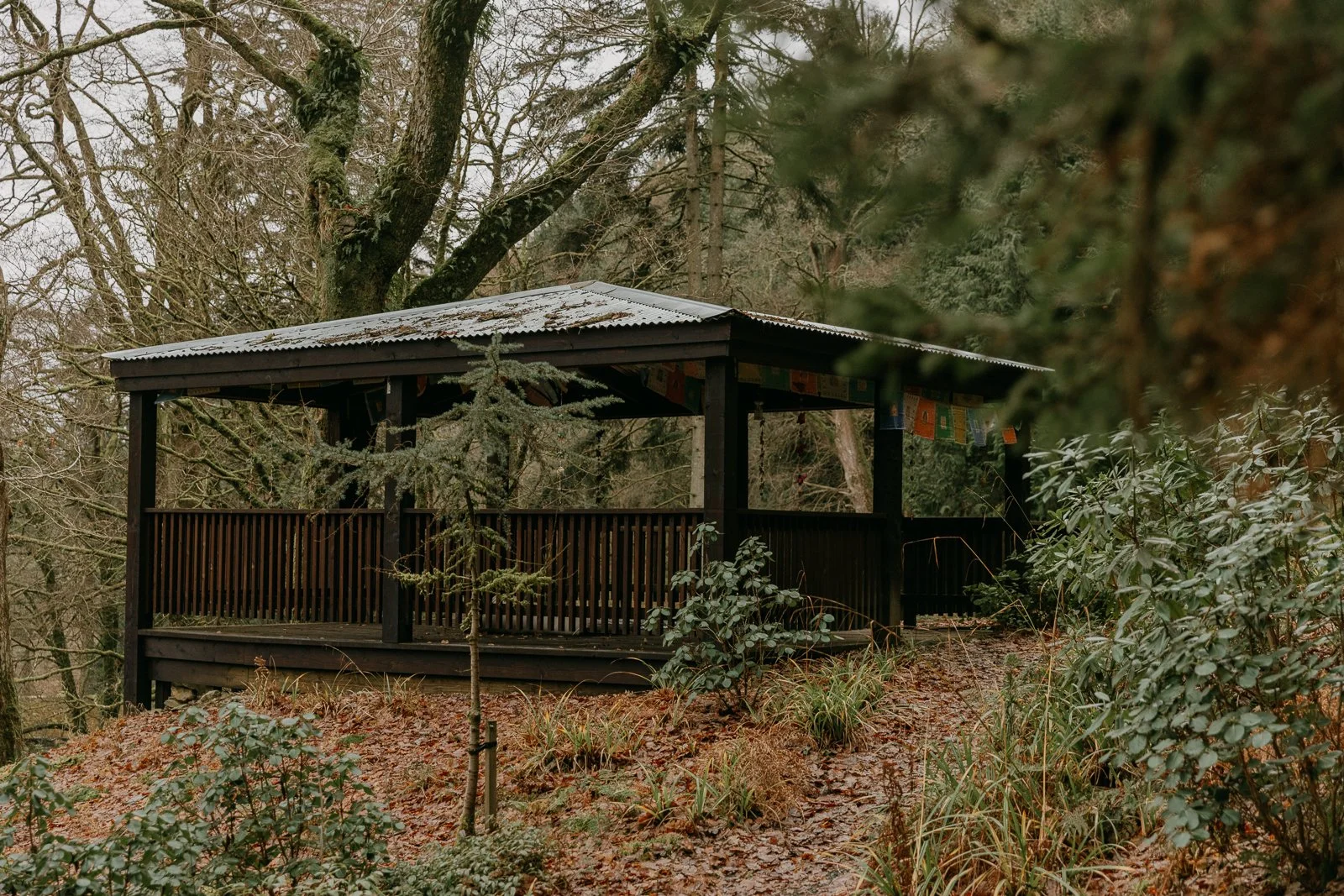 The Japanese Tea House