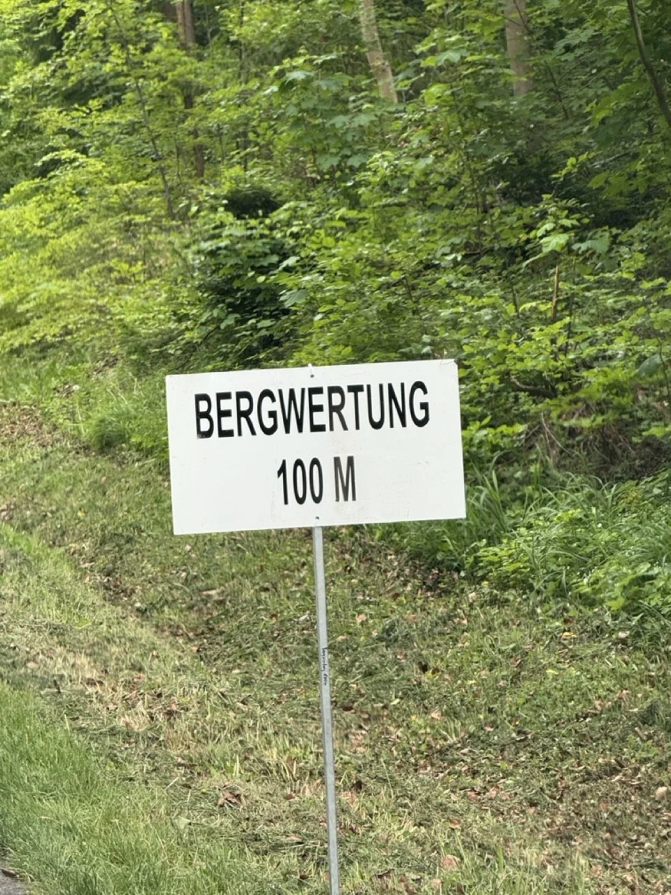 Groß (IMG_0765).jpeg