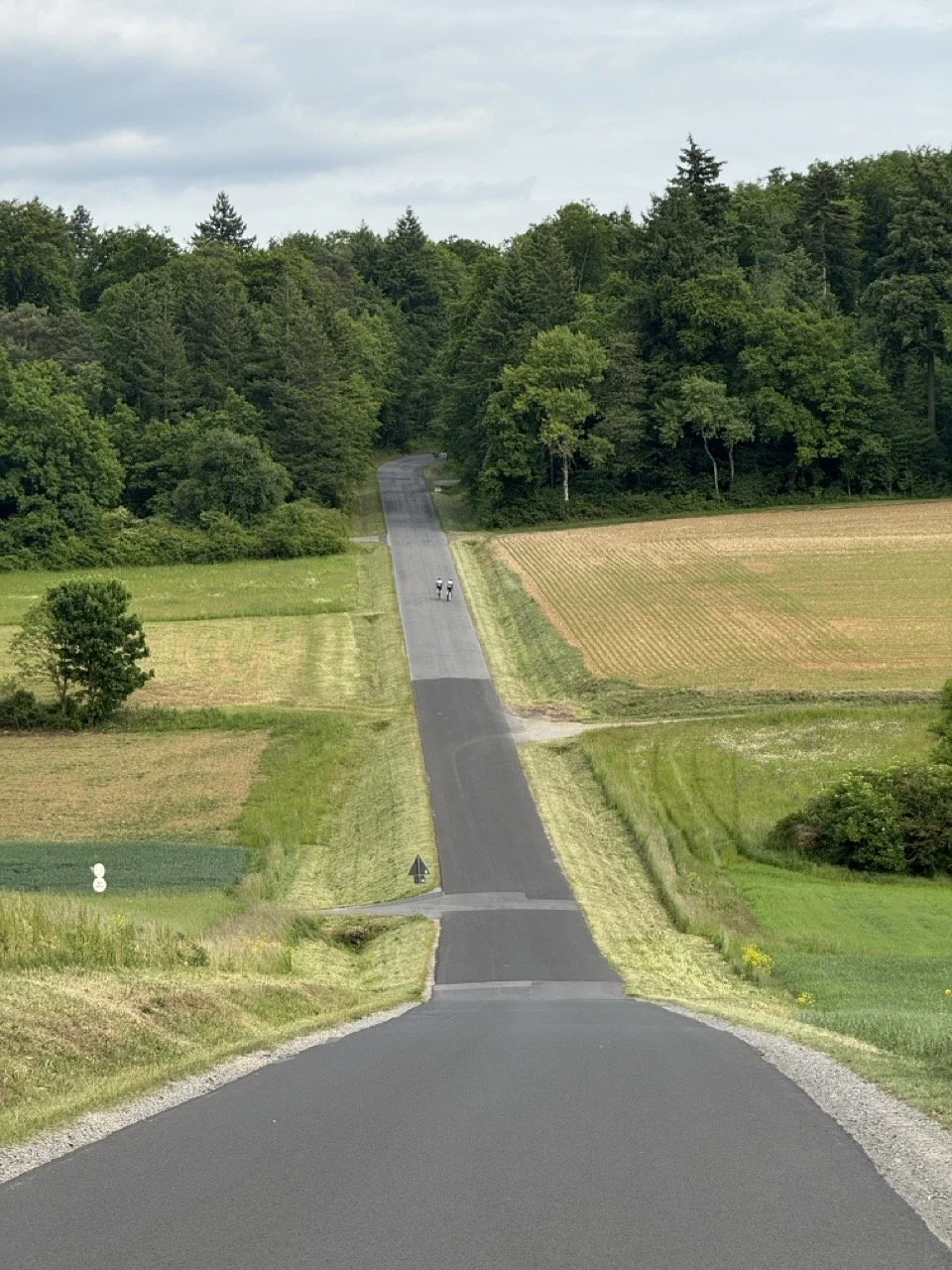 Groß (IMG_0764).jpeg