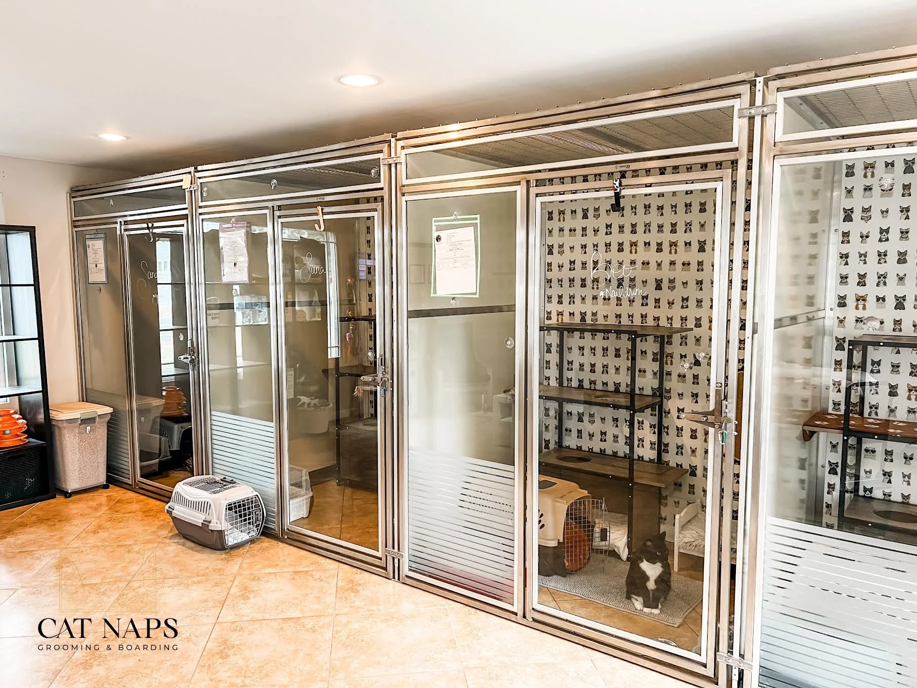 Luxury Cat Sitting Hotels Fancy Cat Hotel Cat Boarding House Online