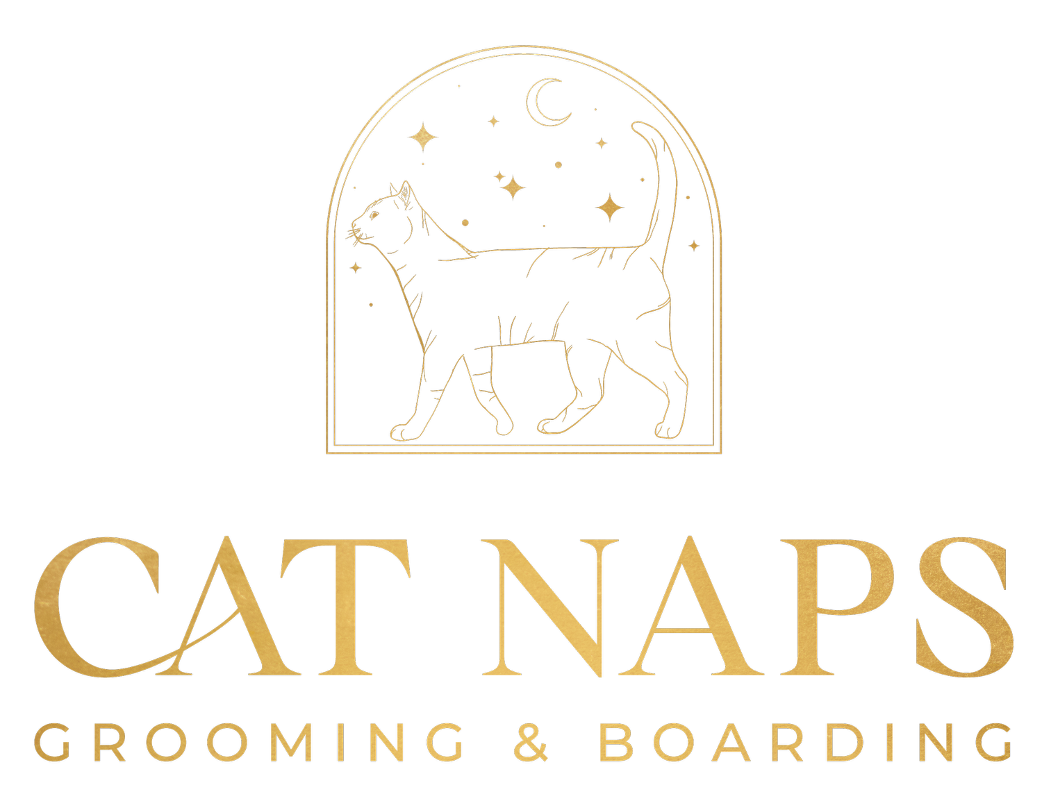 Cat With a Mat  National Cat Groomers Institute