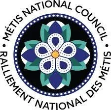 Metis NC Logo.jpeg