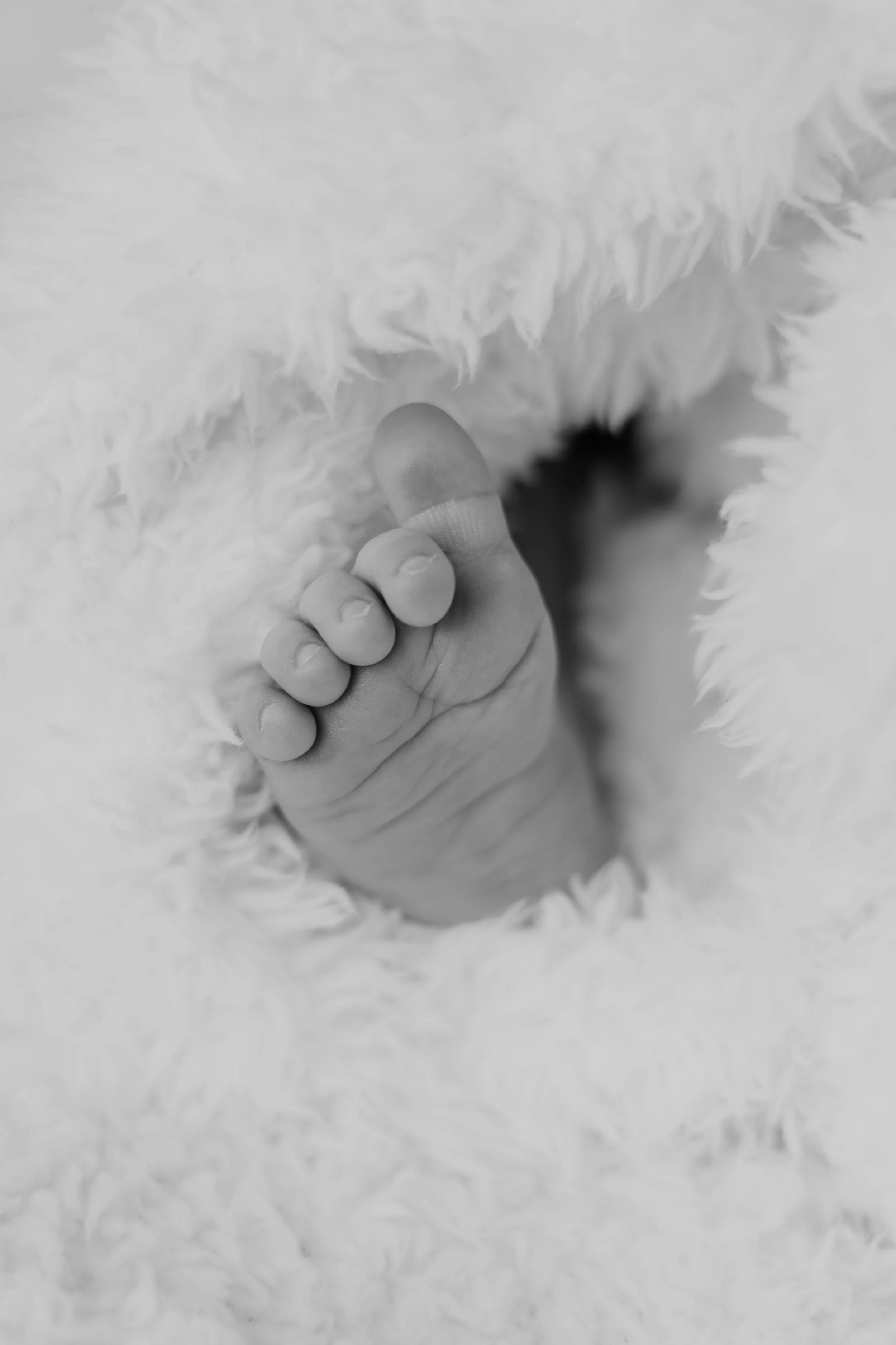 Newborn Gunjeet-59.jpg