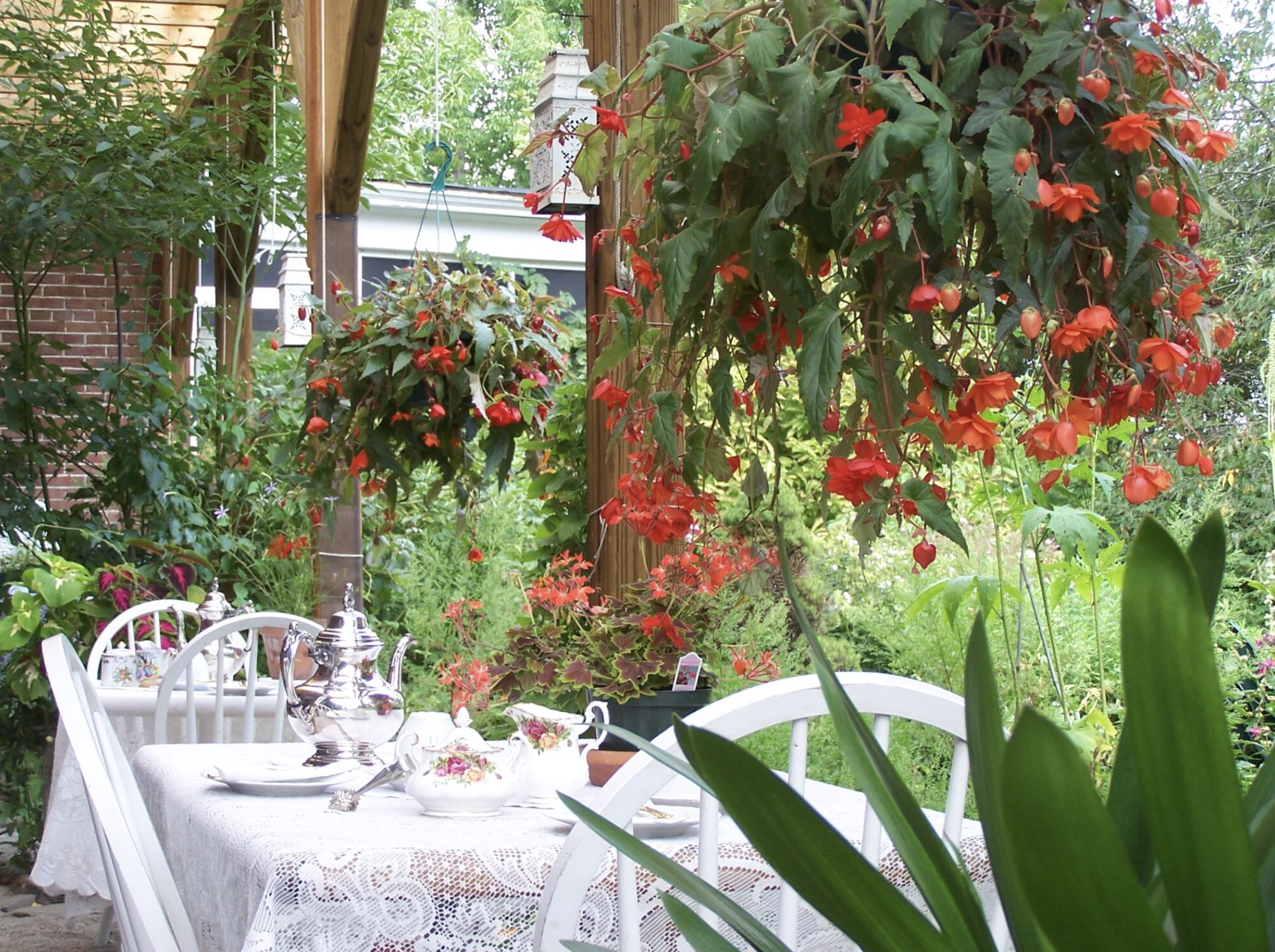 Open Gardens Tour (Members Only)