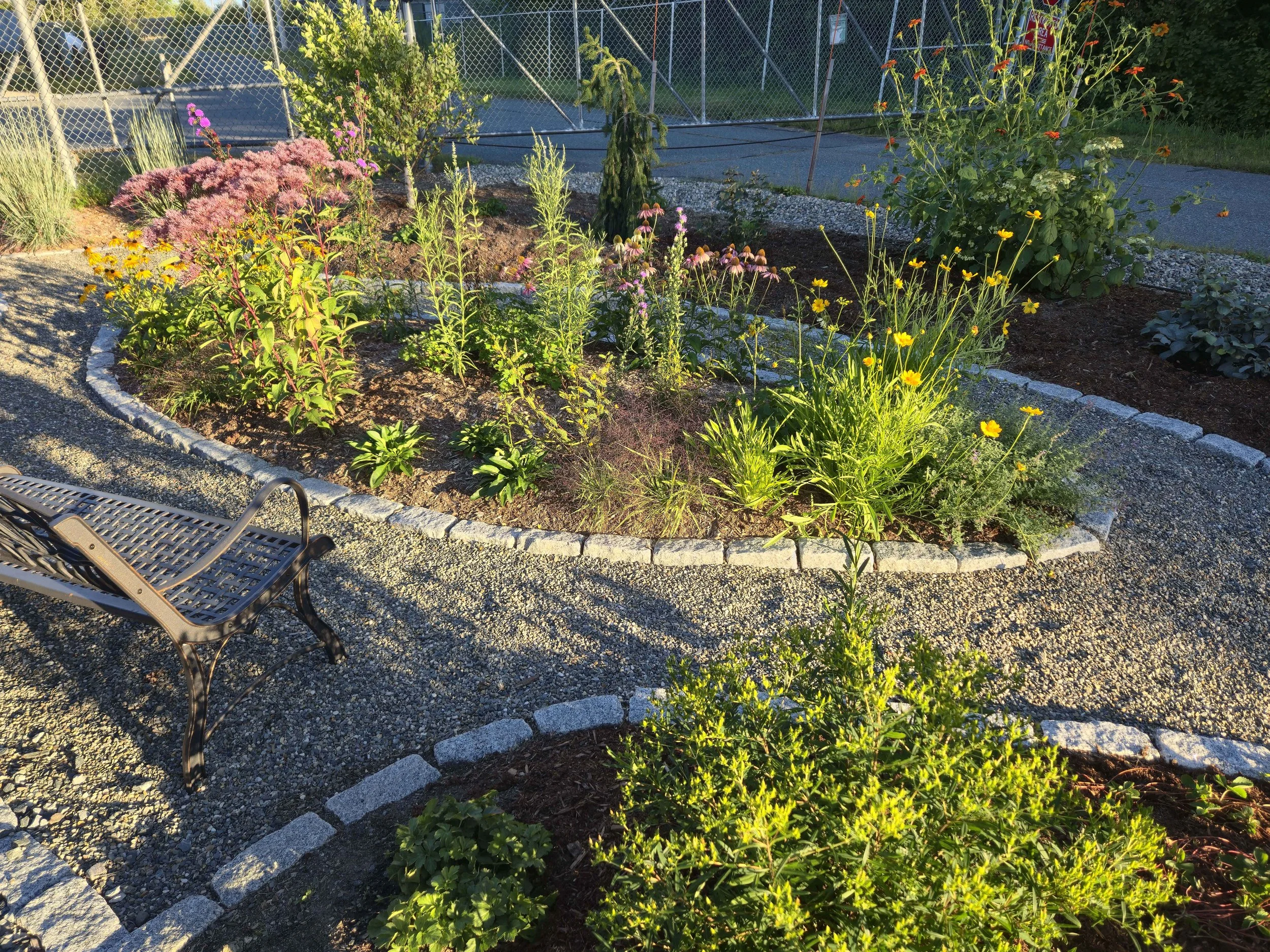 Native Plant Teaching Garden Grand Opening