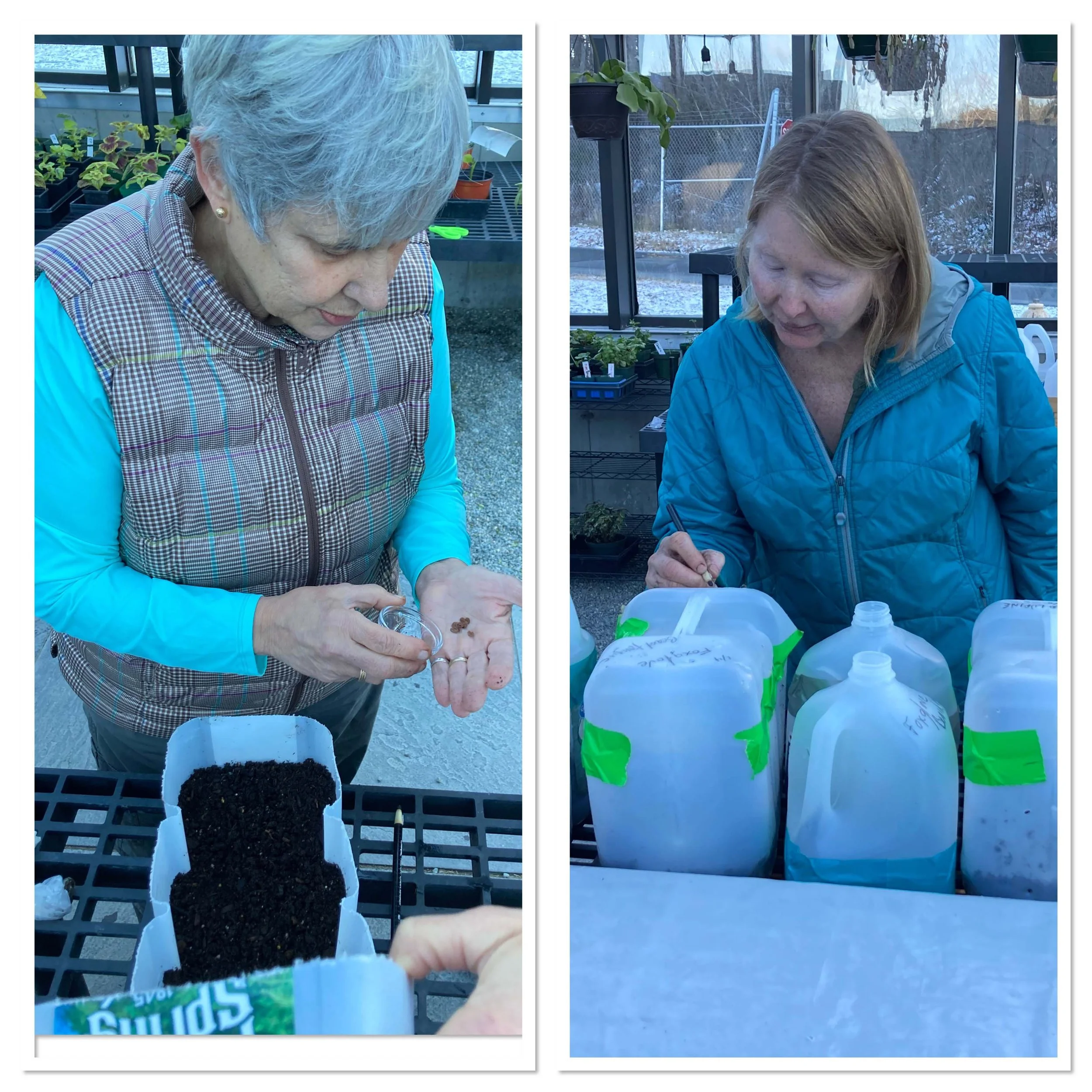 Winter Sowing Workshop (members only)