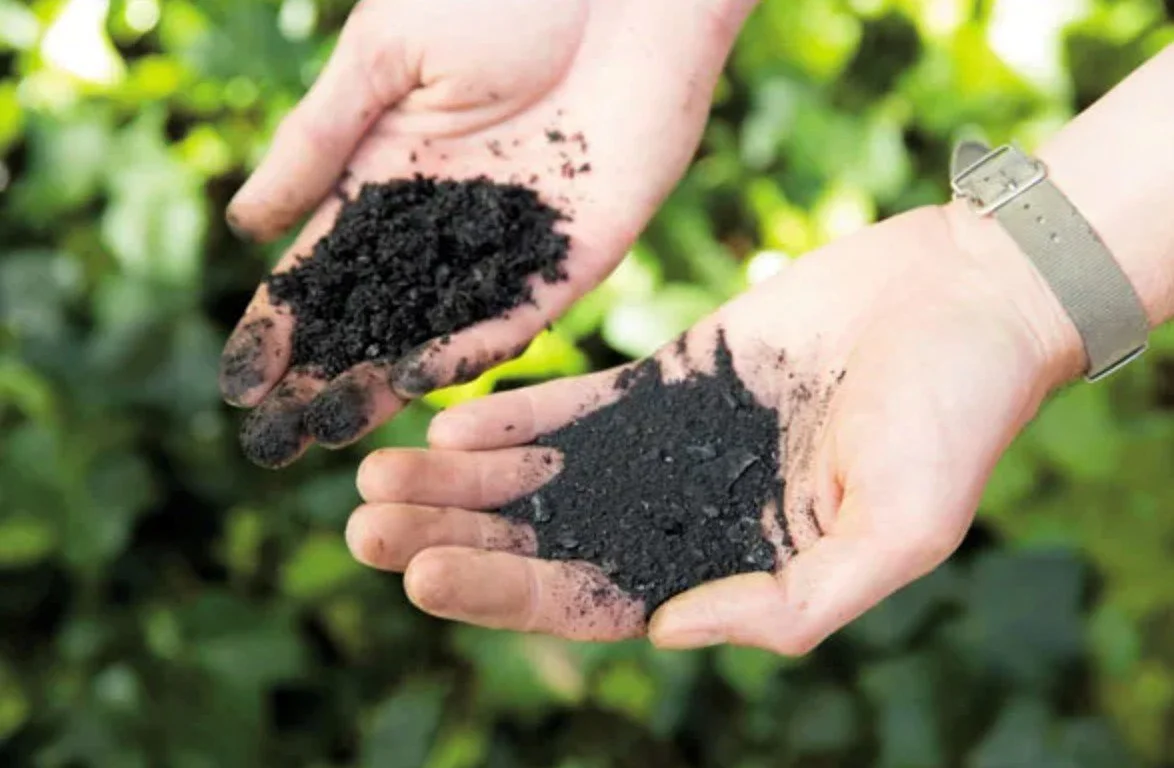 Biochar: Soil Health &amp; Sustainability