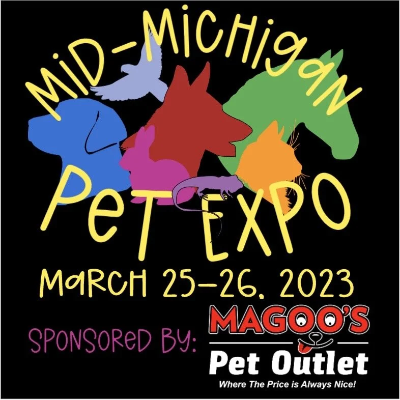 Events — United Dock Diving