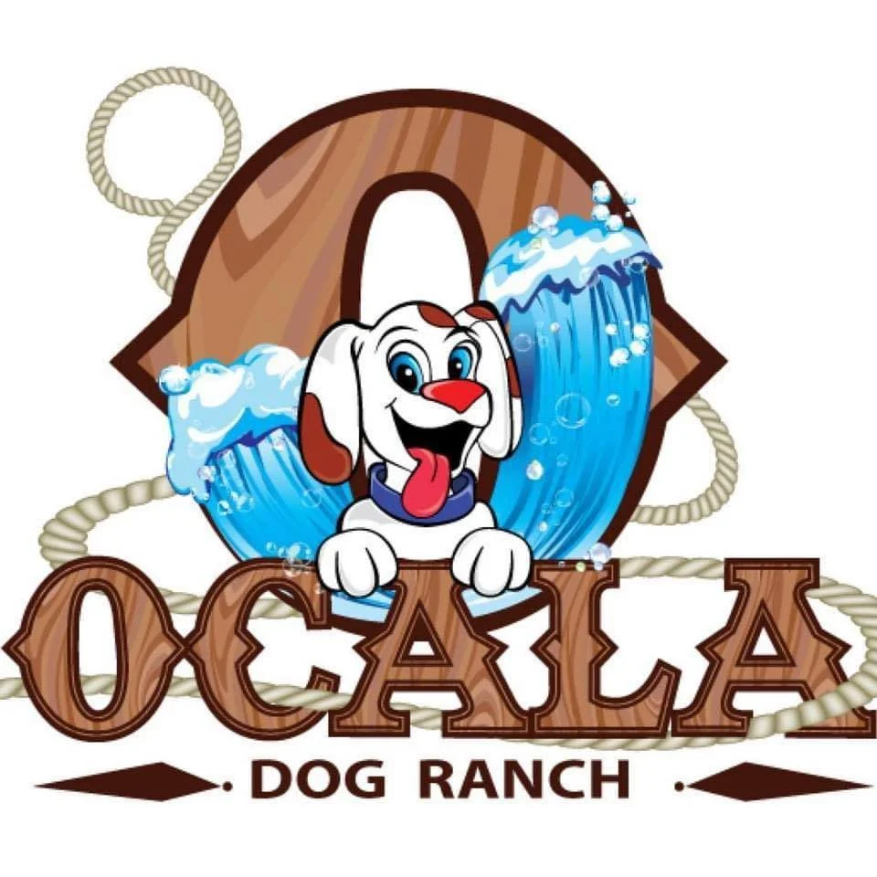 Ocala's UDD Inaugural Splash