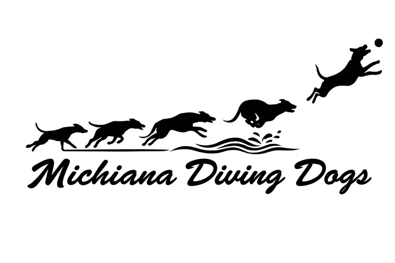 Michiana Diving Dogs UDD Inaugural Splash — Niles, MI
