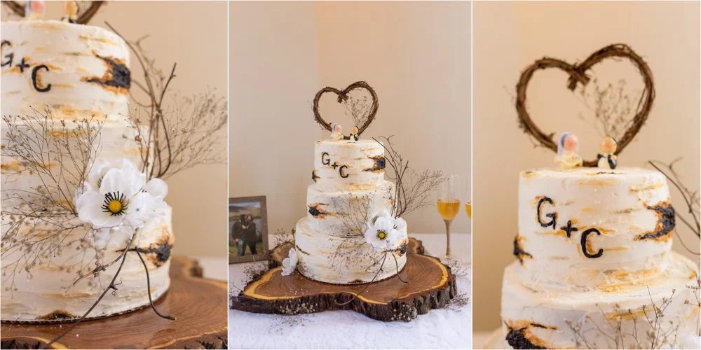 09-Wedding Cake - Aspen, mountain_.jpg