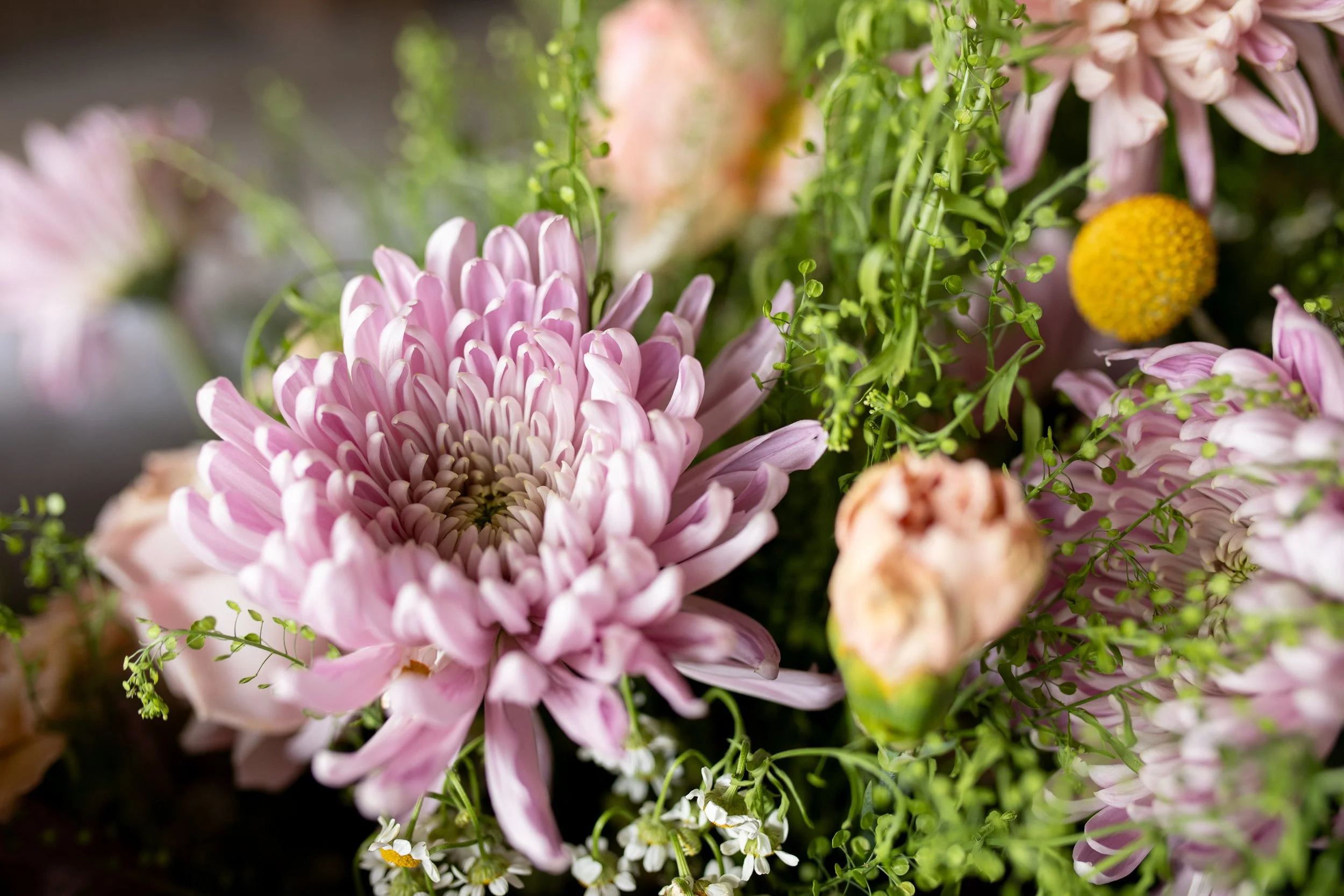 lake-city-colorado-wedding-photographer-6864.jpg
