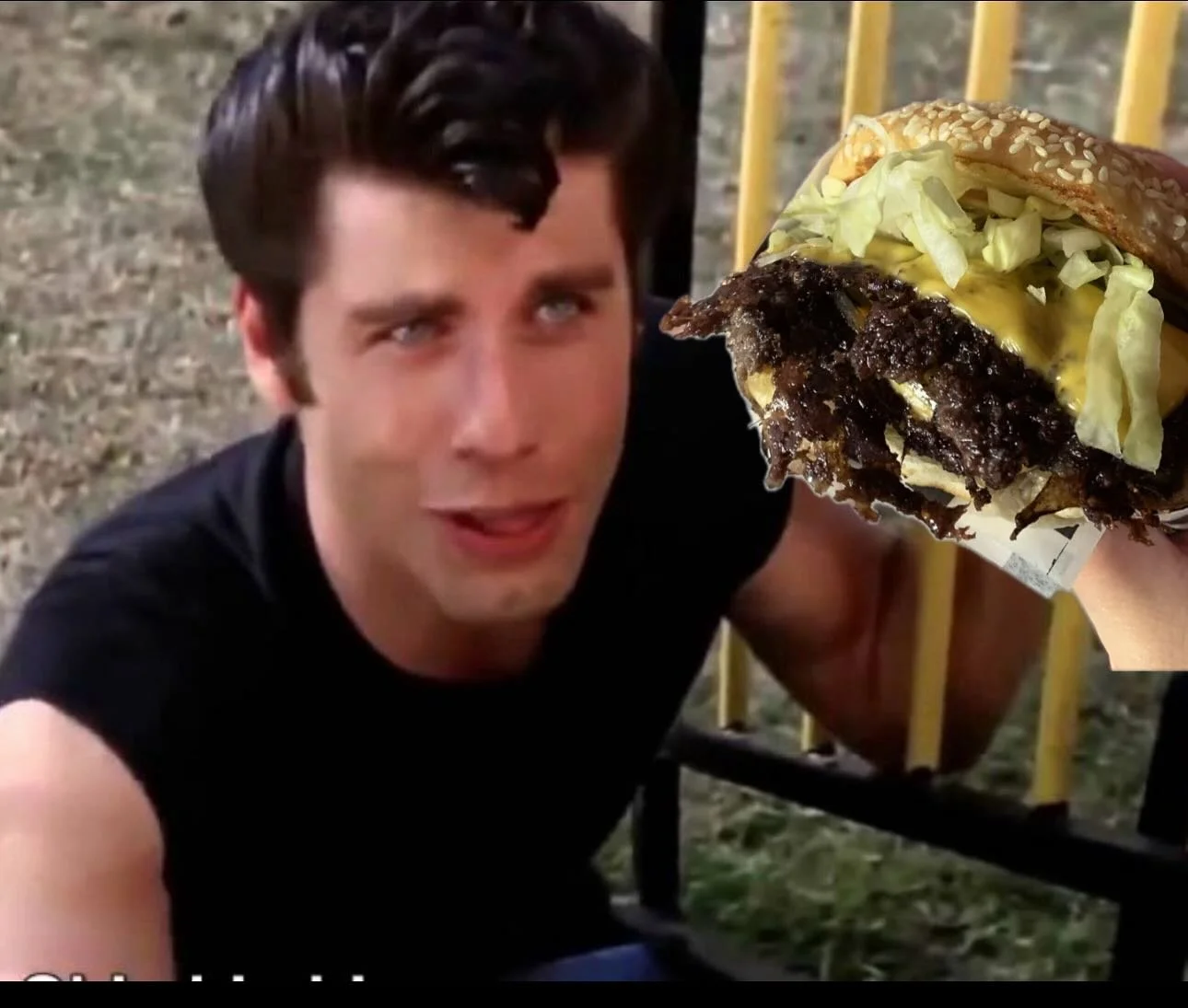 🎶…the one that I want!  Ooh ooh ooh! The one I need, oh yes indeed! 🎶