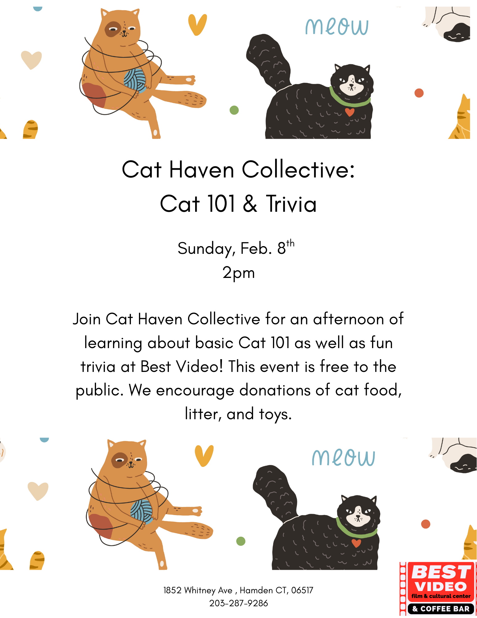 Cat Haven Collective: Cat 101 w/ Trivia
