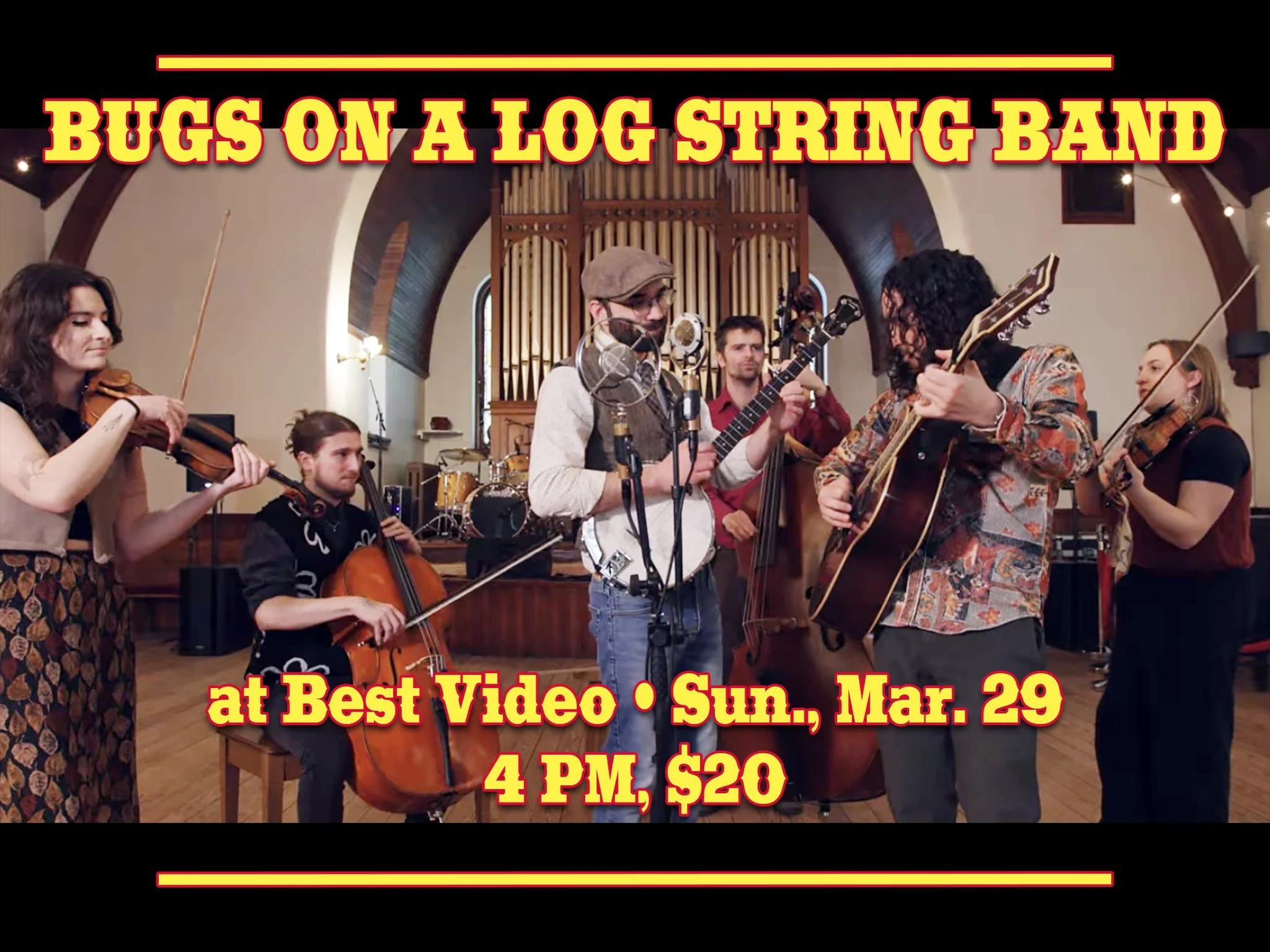 BUGS ON A LOG STRING BAND: ROOTS