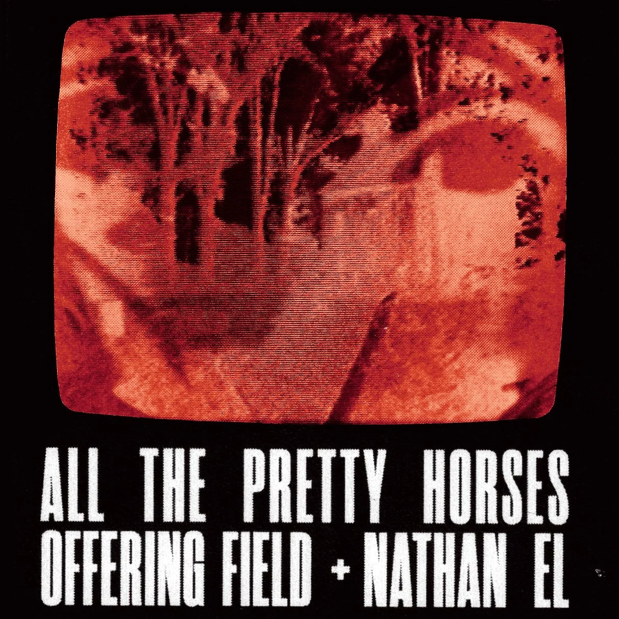 Nathan El, All the Pretty Horses, Offering Field
