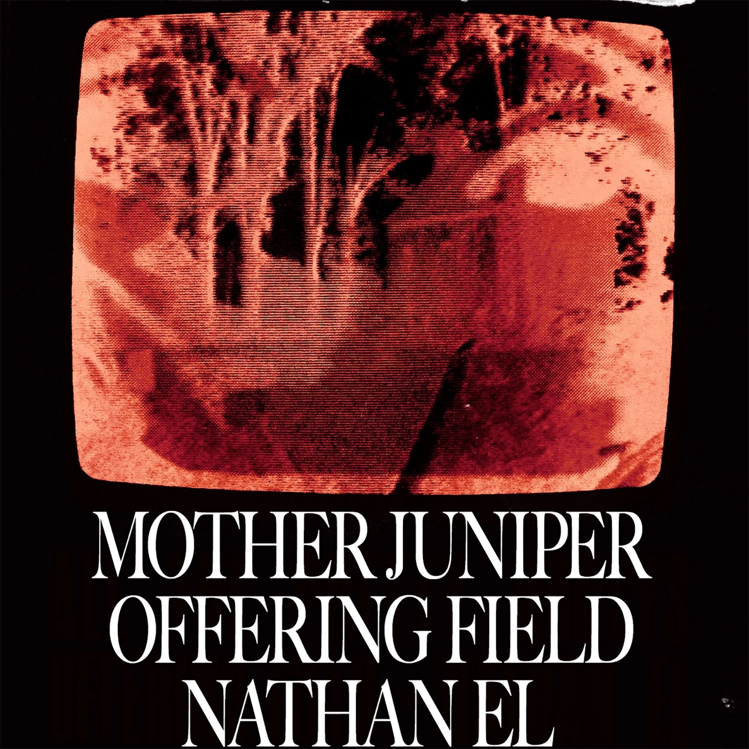 Nathan El/Mother Juniper/Offering Field: Indie