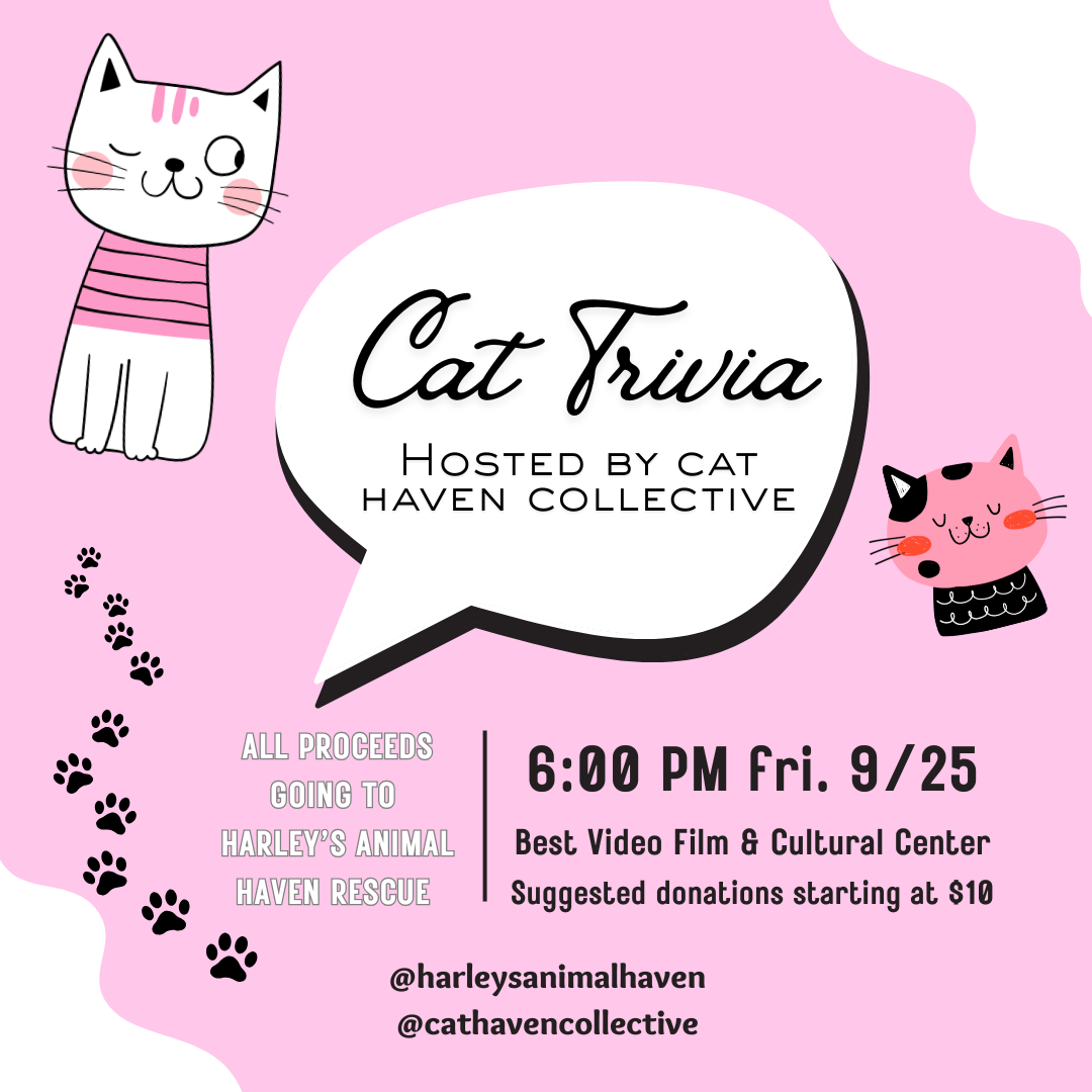 Cat Trivia w/ The Cat Collective