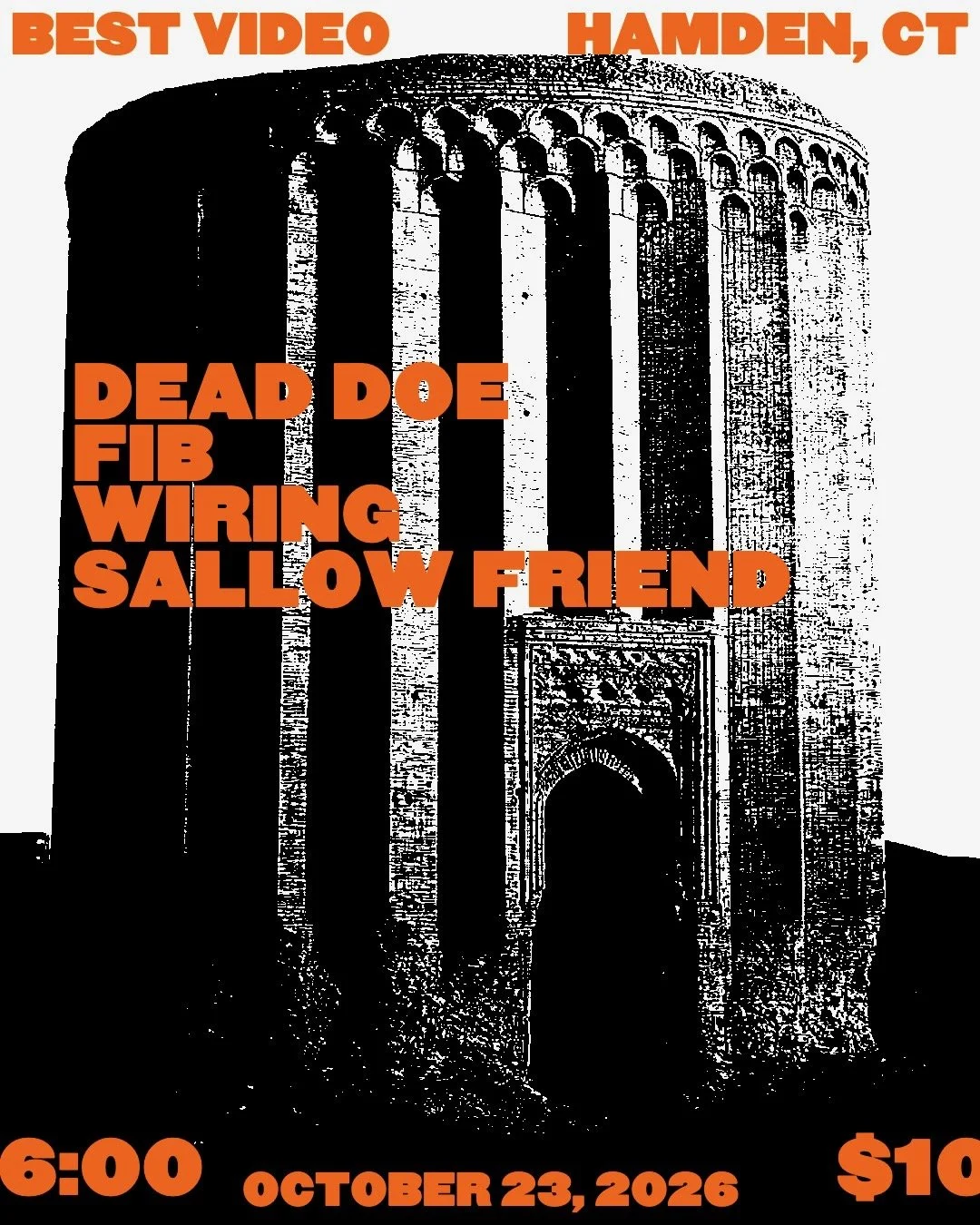 DEAD DOE/FIB/WIRING/SALLOW FRIEND