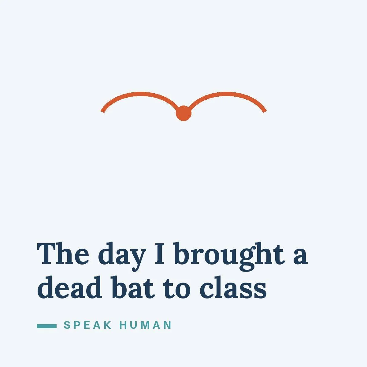 The day I brought a dead bat to class