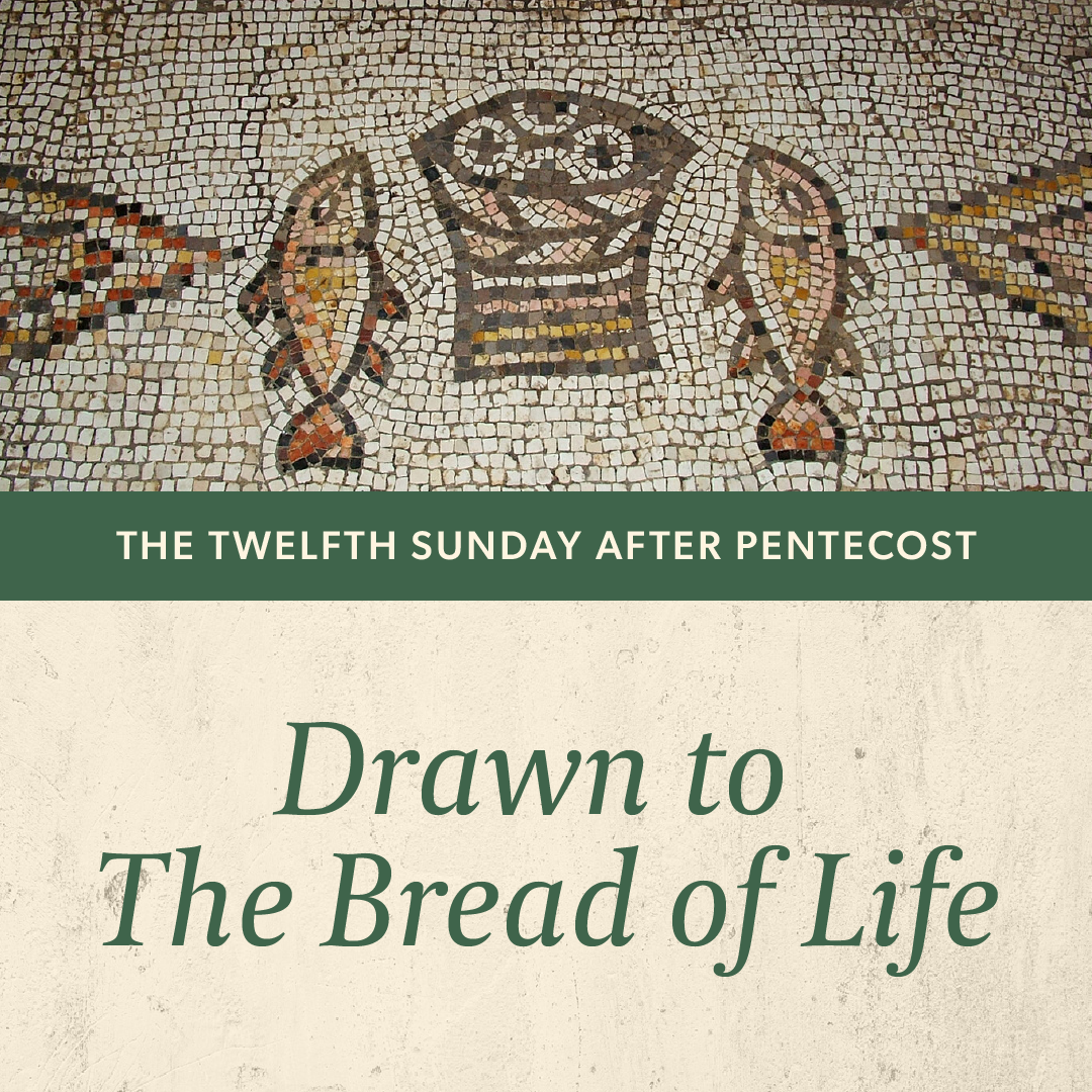 Drawn to The Bread of Life episode artwork